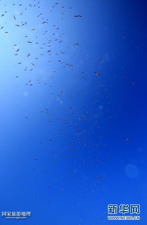 （國(guó)際·關(guān)注文化遺產(chǎn)）（11）聖基爾達(dá)島：被遺棄的文明